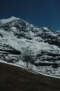 DSC_2646 * jungfrau * 2000 x 3008 * (3.44MB)